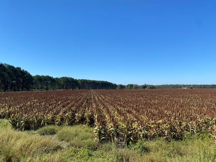 Recreational Property in Bullock County, Alabama