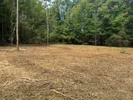 Land for sale in Laurens County, South Carolina