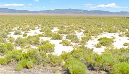 Undeveloped Land in Elko County, Nevada