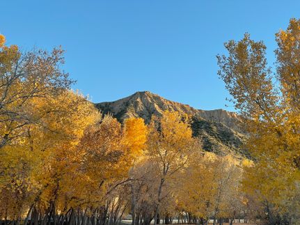 Lakefront Property in Rio Arriba County, New Mexico