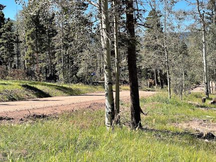 Undeveloped Land in Costilla County, Colorado