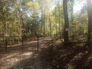 Land for sale in Scott County, Tennessee