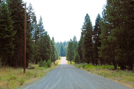 Undeveloped Land in Modoc County, California