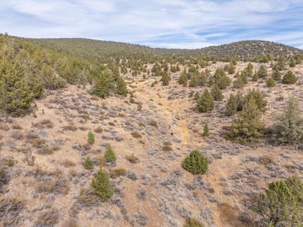 Undeveloped Land in Lassen County, California
