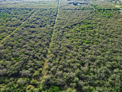 Recreational Property in Jim Wells County, Texas