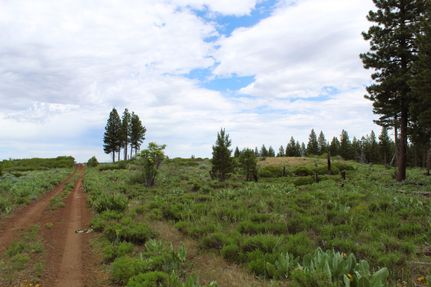 Undeveloped Land in Modoc County, California