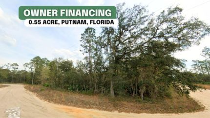 Undeveloped Land in Putnam County, Florida