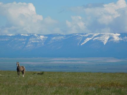 Farm and Ranch for sale in Wheatland County, Montana
