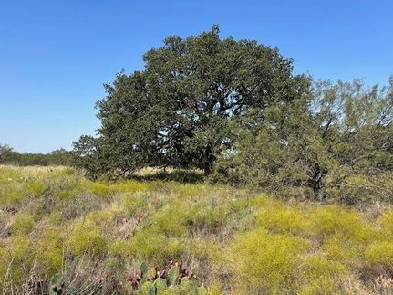 Farm and Ranch in San Saba County, Texas