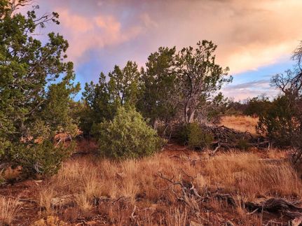 Farm and Ranch for sale in Cibola County, New Mexico