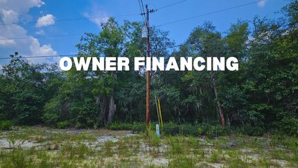 Undeveloped Land in Putnam County, Florida