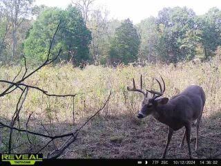 Land in Grayson County, Kentucky