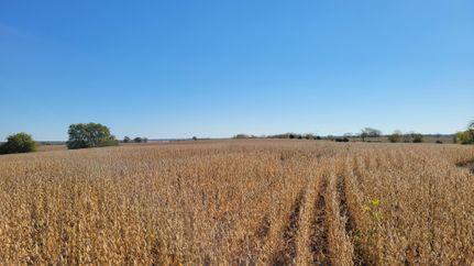 Timberland Property in Sullivan County, Missouri