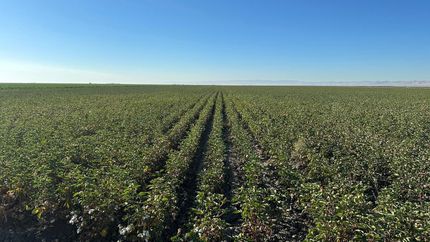 Land for sale in Fresno County, California