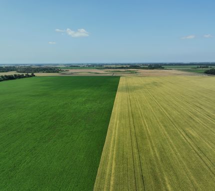 Land in Walsh County, North Dakota