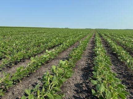 Land in Pembina County, North Dakota