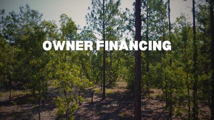 Undeveloped Land in Putnam County, Florida