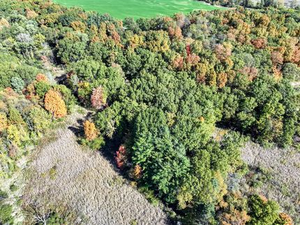 Farm and Ranch in Barry County, Michigan