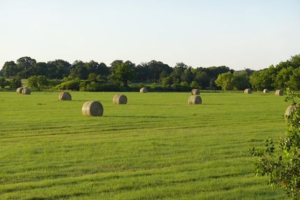Timberland Property in Eastland County, Texas
