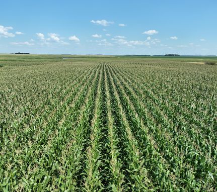 Farm and Ranch in LaMoure County, North Dakota