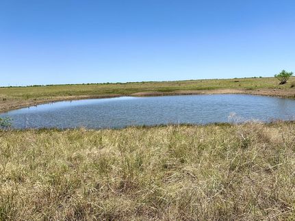 Timberland Property in Coleman County, Texas