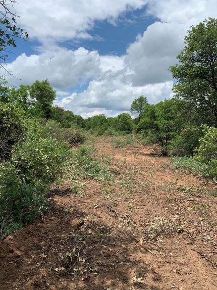 Farm and Ranch in Jones County, Texas