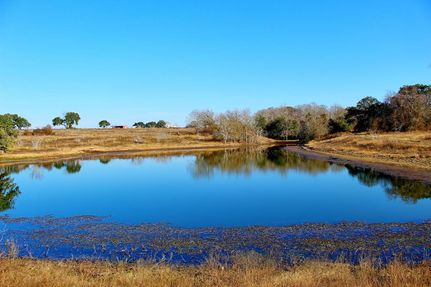 Undeveloped Land in Colorado County, Texas
