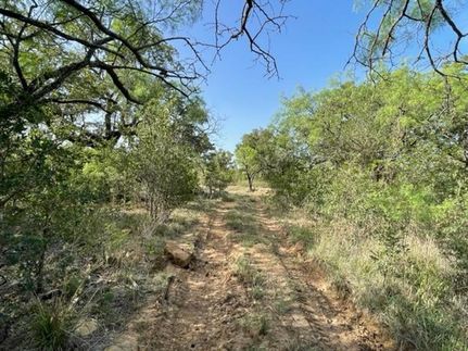 Timberland Property in Eastland County, Texas