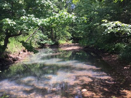 Undeveloped Land in Logan County, Arkansas