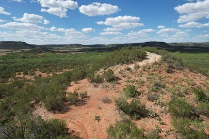 Timberland Property in Coke County, Texas