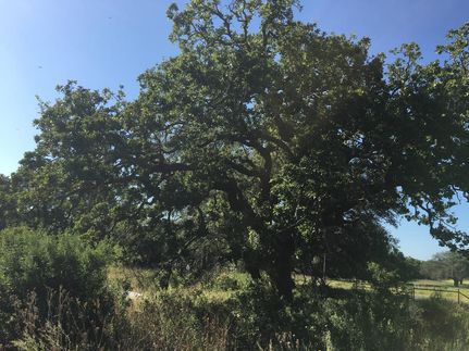 Undeveloped Land in Brown County, Texas