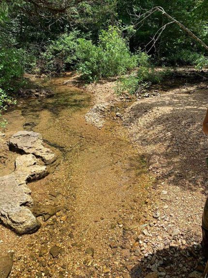 Undeveloped Land in Shannon County, Missouri
