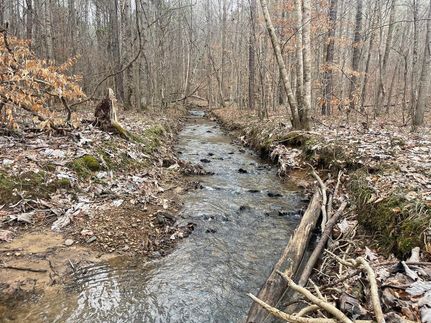 Timberland Property in Cullman County, Alabama