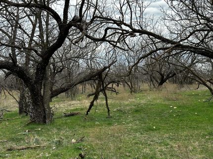 Undeveloped Land in Callahan County, Texas