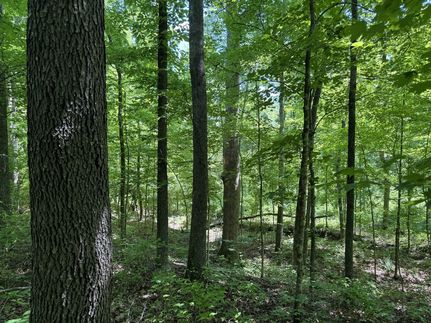 Farm and Ranch in Humphreys County, Tennessee