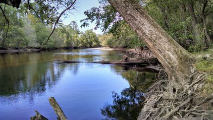 Waterfront Property in Horry County, South Carolina
