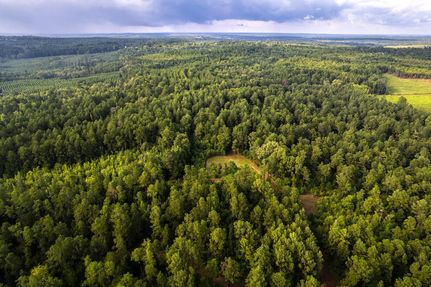 Undeveloped Land in Cass County, Texas