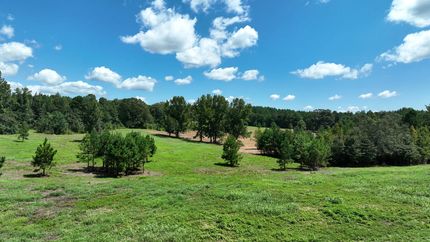 Undeveloped Land in Chilton County, Alabama