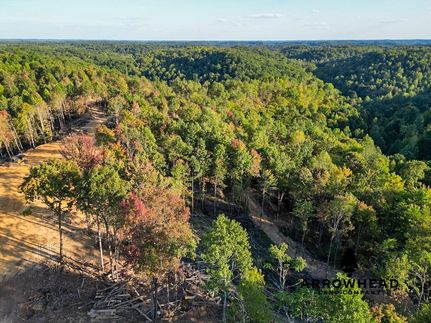 Timberland Property in Scioto County, Ohio
