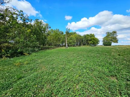 Undeveloped Land in Vermilion County, Illinois