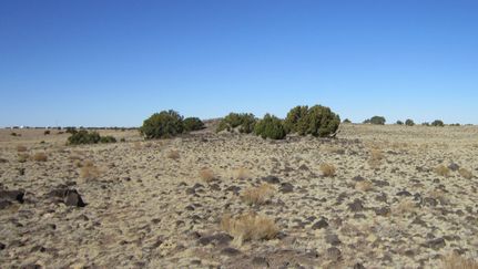 Recreational Property in Apache County, Arizona