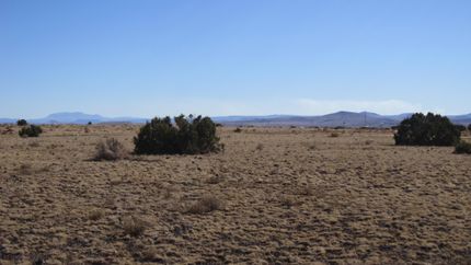 Undeveloped Land in Apache County, Arizona