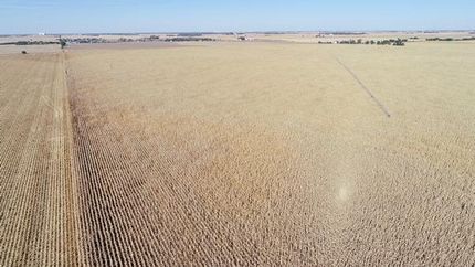 Farm and Ranch in Adams County, Nebraska