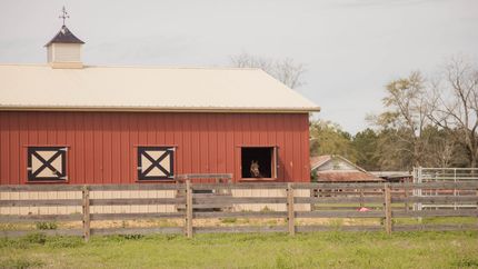 Commercial Property in Thomas County, Georgia