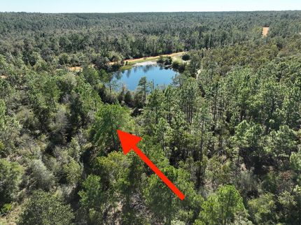Undeveloped Land for sale in Jackson County, Florida
