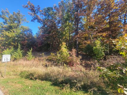 Recreational Property in Lincoln County, Missouri