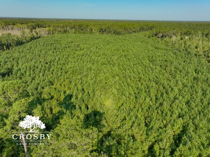 Farm and Ranch in Colleton County, South Carolina