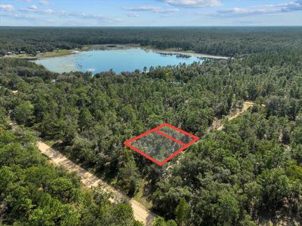 Timberland Property in Putnam County, Florida