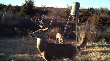 Farm and Ranch in Dewey County, Oklahoma