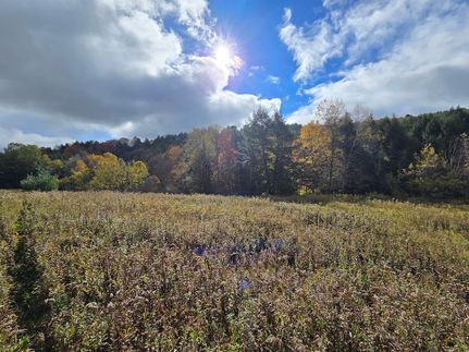 Recreational Property in Chenango County, New York